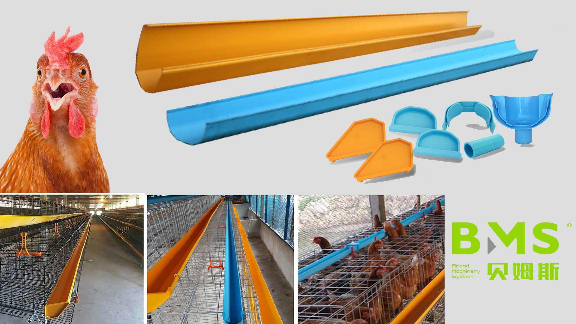 Metal aves de aves de aves de alimenta&ccedil;&atilde;o rolo formando m&aacute;quina YX154-86